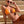 ‘ Georgia ‘ Brazilian bikini in orange (8195454533915)